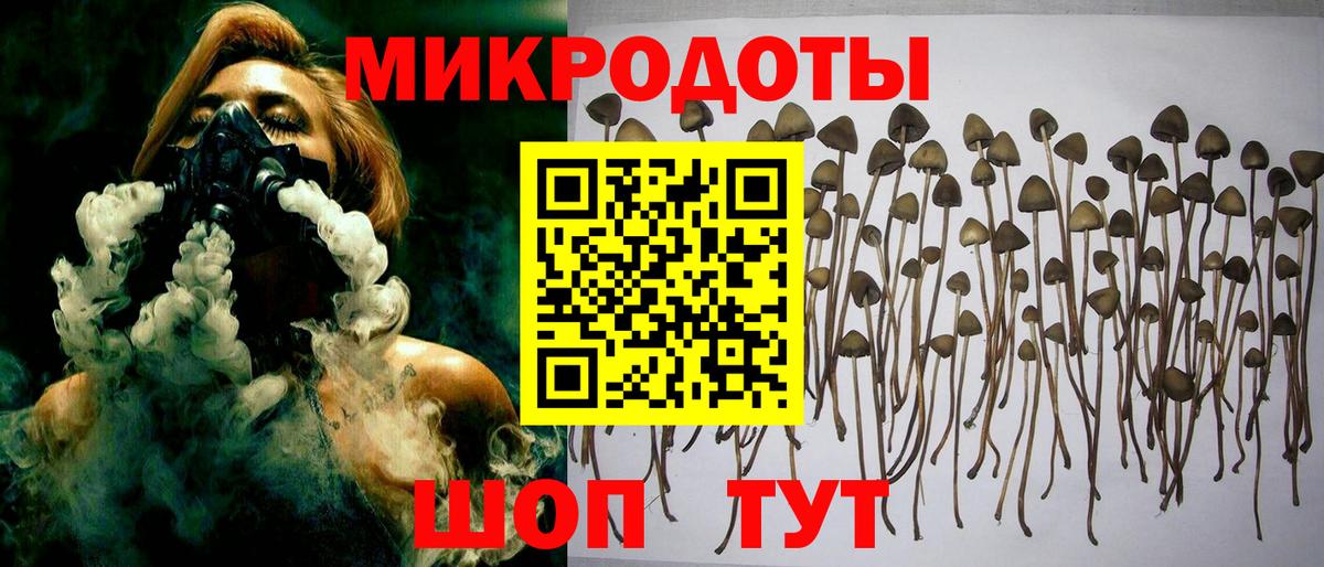 Галлюциногенные грибы GOLDEN TEACHER  Вход с VPN  Сорочинск  Галлюциногенные грибы Psilocybe 